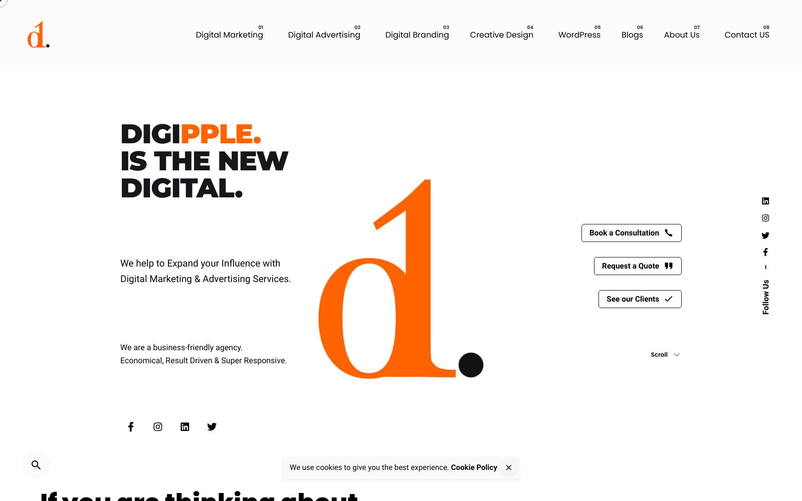 Screenshot of digipple.com at 6/9/2024