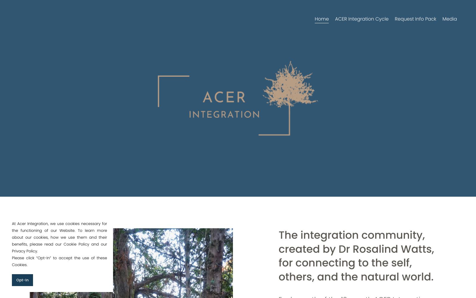 Screenshot of acerintegration.com at 7/18/2024