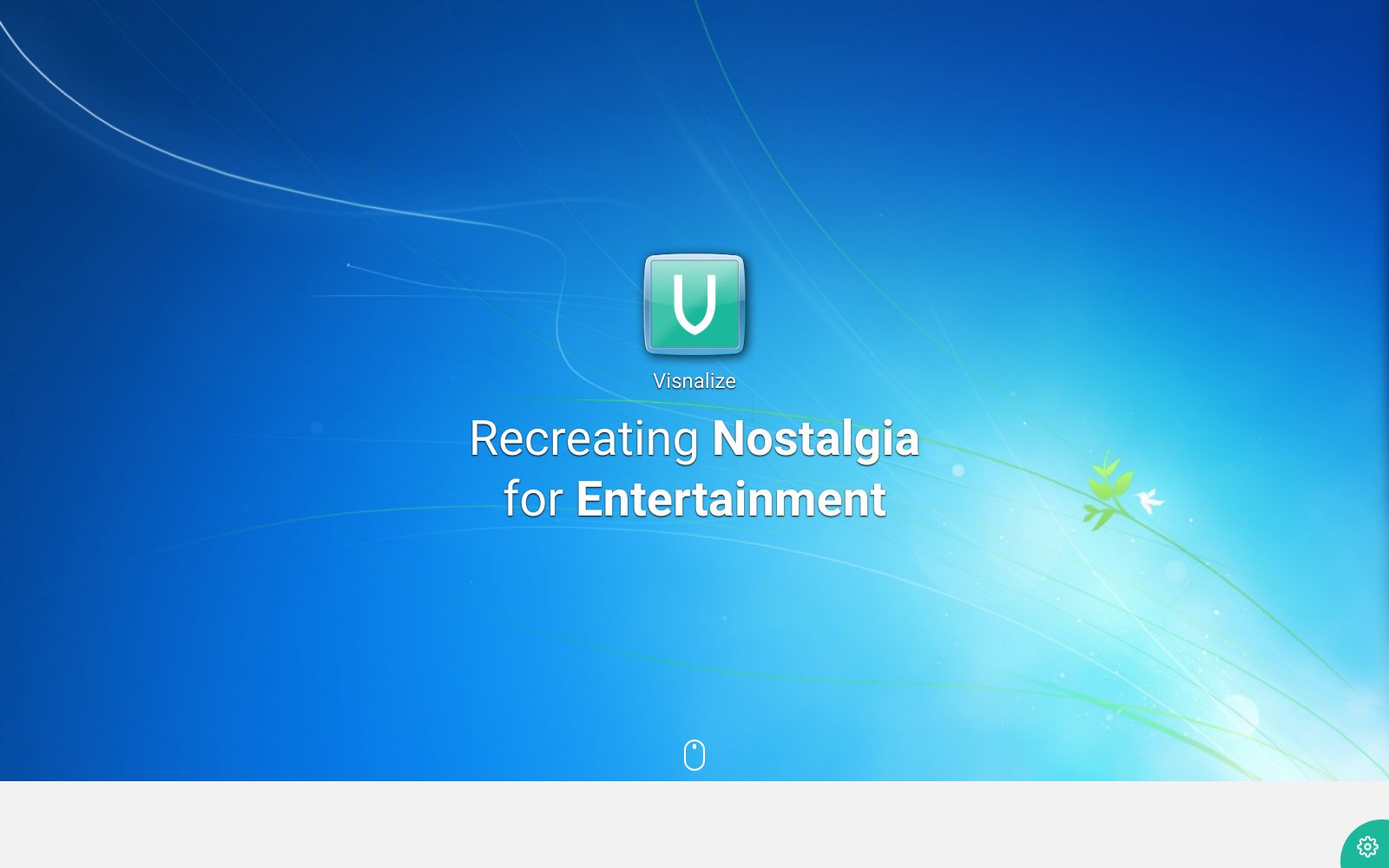 Screenshot of visnalize.com at 8/20/2024