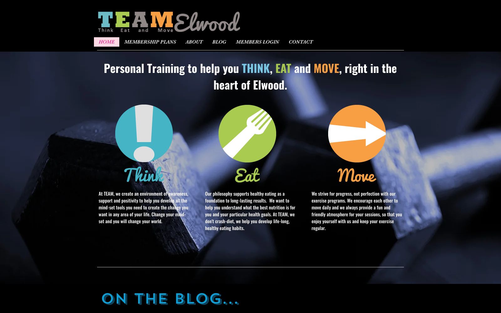 Screenshot of www.teamelwood.com.au at 11/15/2024