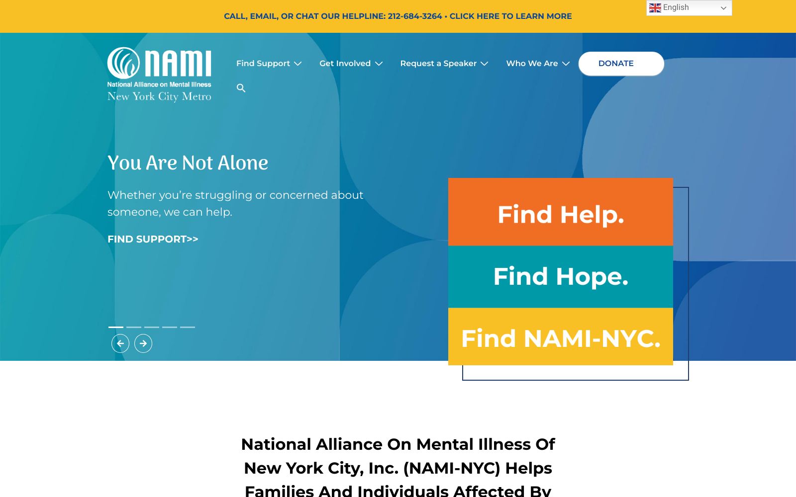 Screenshot of naminycmetro.org at 11/27/2024