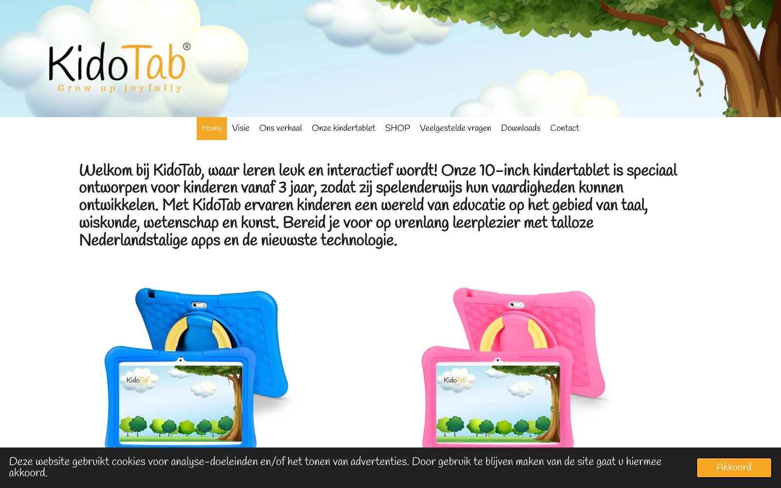 Screenshot of www.kidotab.be at 1/1/2025