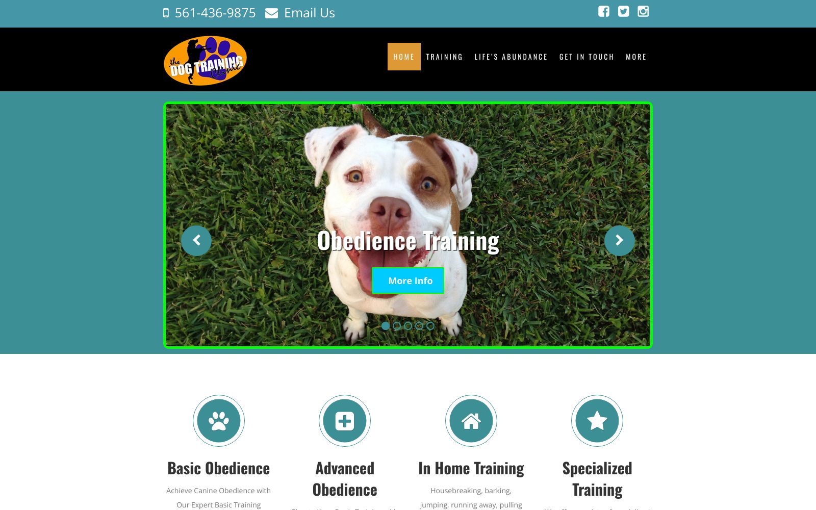 Screenshot of thedogtrainingclinic.com at 1/8/2025