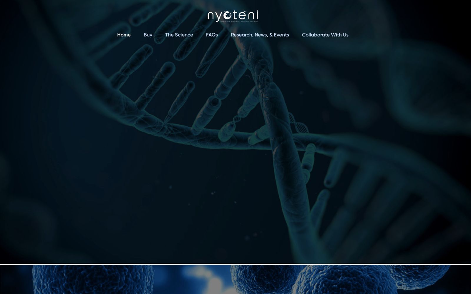 Screenshot of nyoteni.com at 4/30/2025