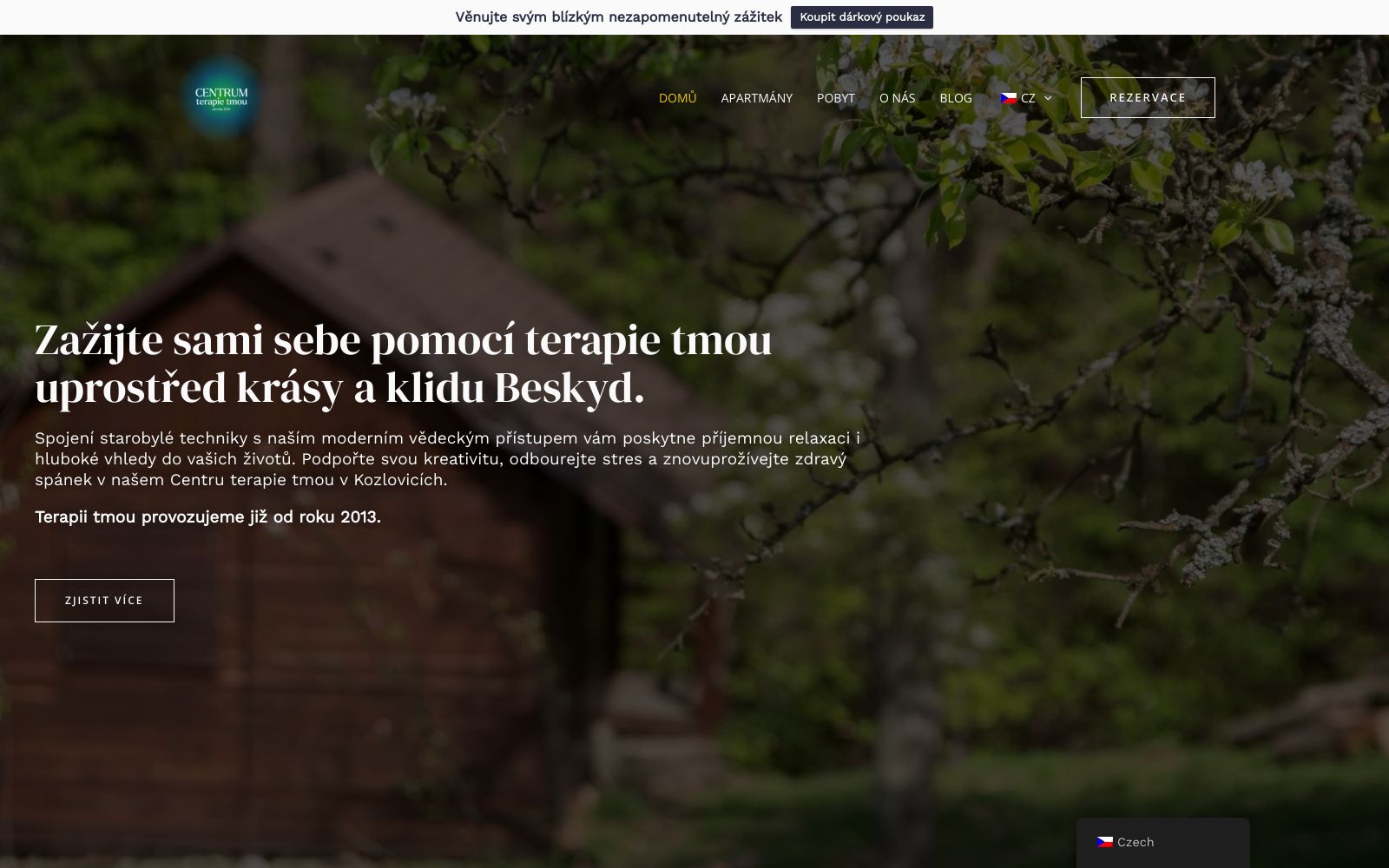 Screenshot of terapietmou.eu at 6/11/2025